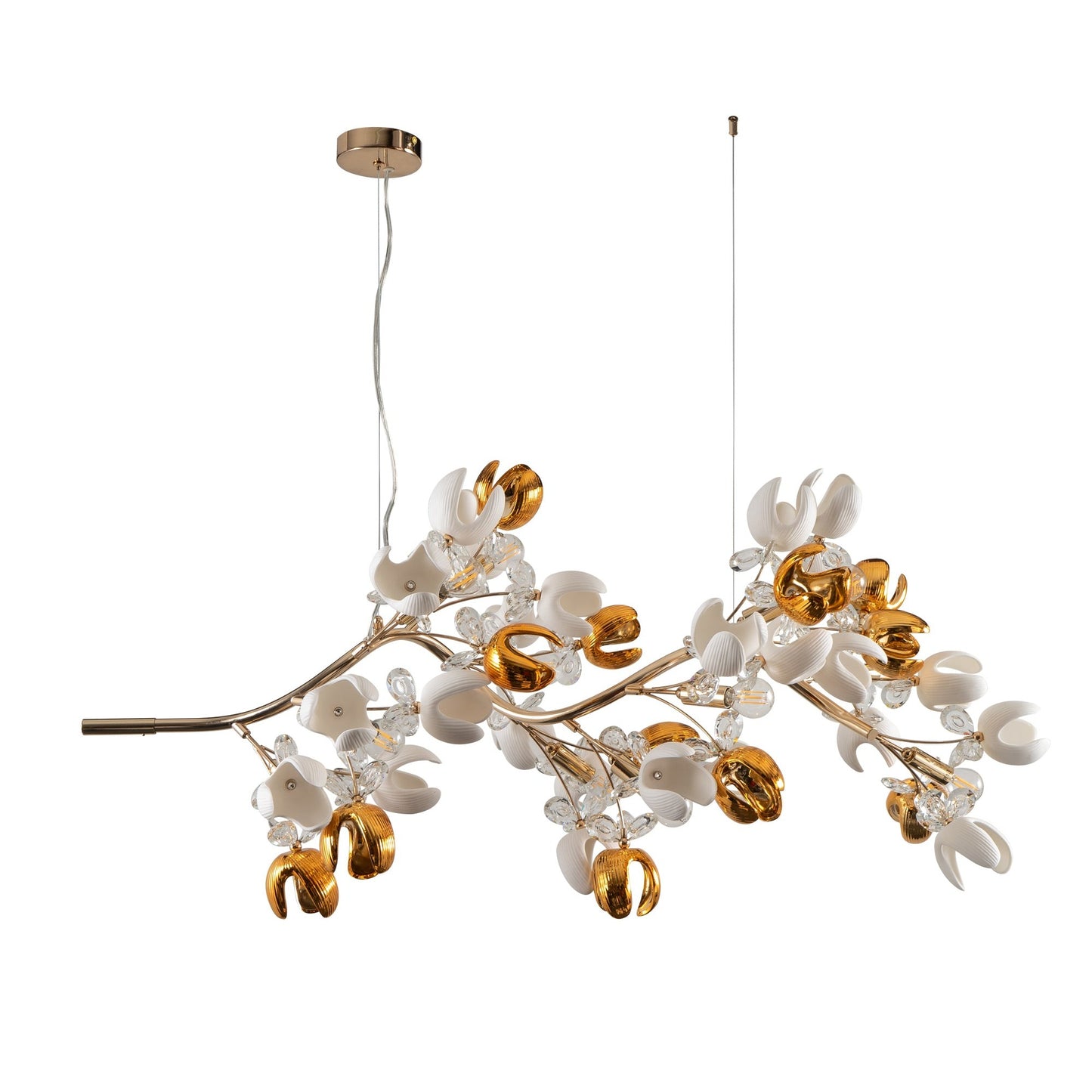 PDC 780-12 ΠΟΛΥΕΛΑΙΟΣ 12/Φ ΚΛΑΔΙ ΜΕ ΧΡΥΣΕΣ ΚΑΙ ΛΕΥΚΕΣ ΤΟΥΛΙΠΕΣ 12xΕ14 120x55x120