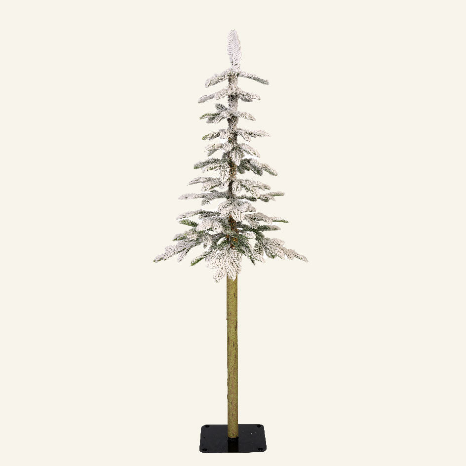 Χιονισμένο Αλπικό Έλατο 36x36x150