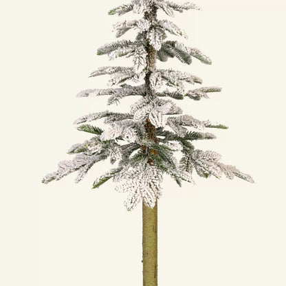 Χιονισμένο Αλπικό Έλατο 36x36x150