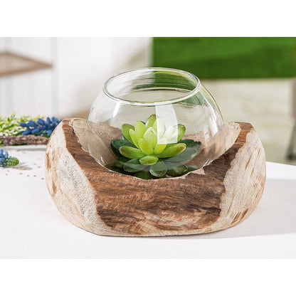 Διακοσμητικό Σύνθεση Βάζο σε Ξύλο Φυσικό Ξύλο 15x18x11