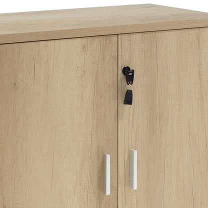 Ντουλάπι Γραφείου Χαμηλό Επαγγελματικό Lotus Χρώμα Φυσικό Ανθρακί 80x40x80