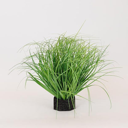 ΦΥΤΟ ΓΡΑΣΙΔΙ ΠΛΑΣΤΙΚΟ 35εκ