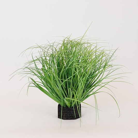 ΦΥΤΟ ΓΡΑΣΙΔΙ ΠΛΑΣΤΙΚΟ 35εκ