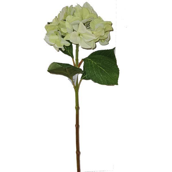 Κλαδί Ορτανσία Λευκό 66εκ