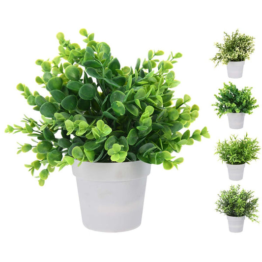 Γλαστράκι με Φυτό 24εκ 4 Σχδ