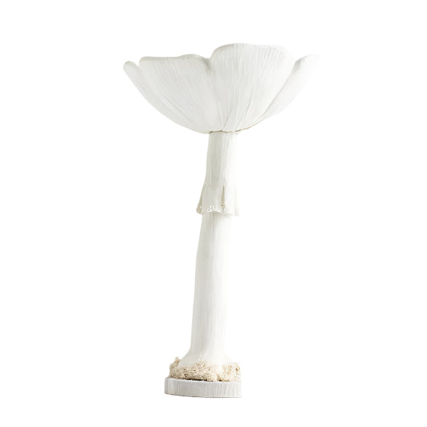 ΜΑΝΙΤΑΡΙ ΛΕΥΚΟ ΜΕ ΛΕΥΚΟ ΚΟΡΜΟ 25x25x42