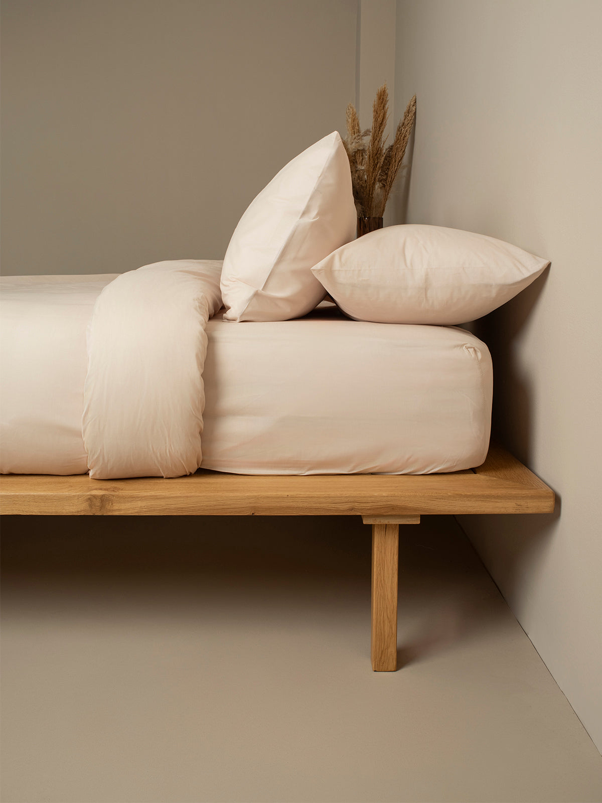 Σεντόνι Cotton Feelings Φλατ 109 Sand Υπέρδιπλο 235x270εκ