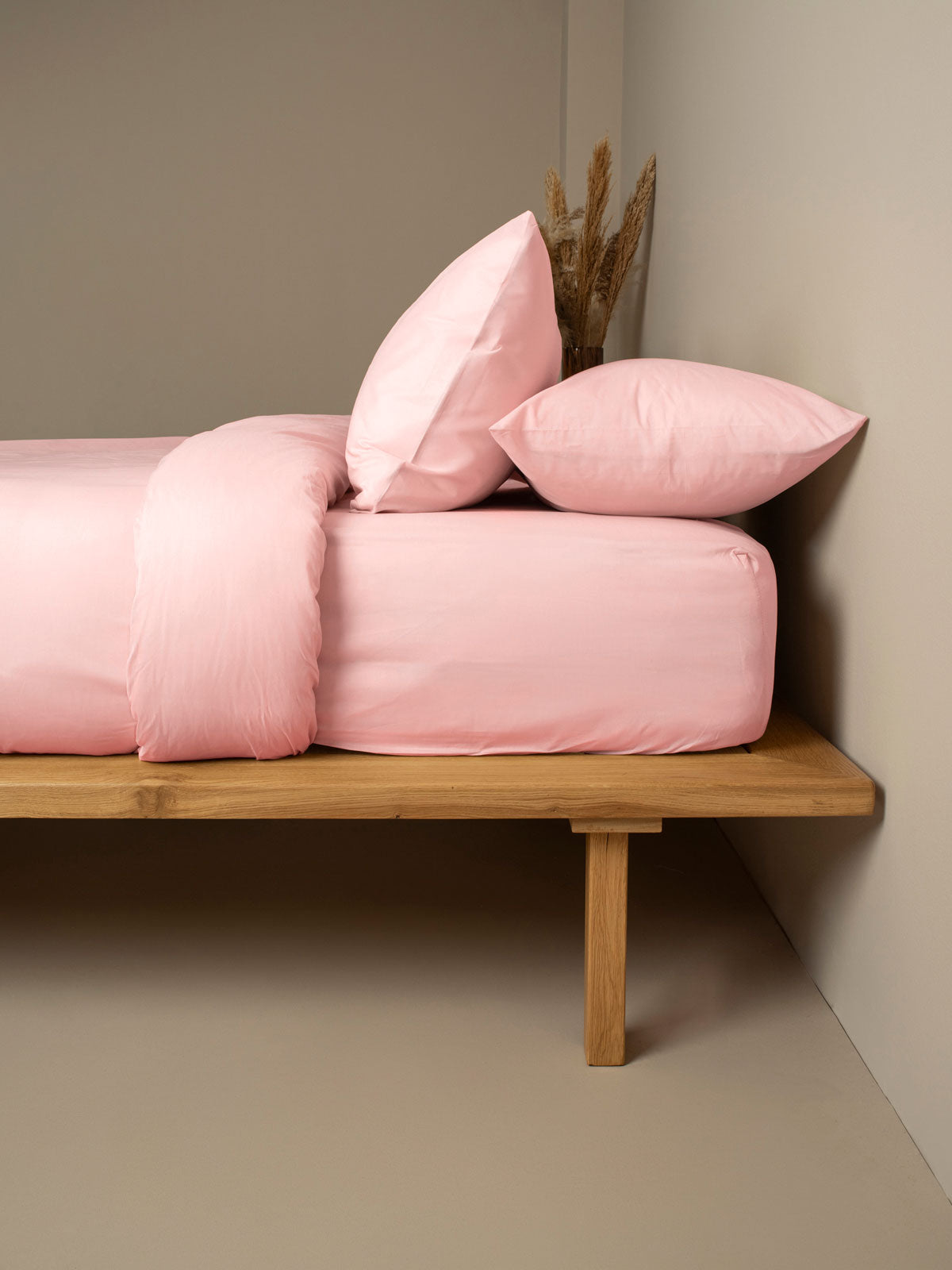 Σεντόνι Cotton Feelings Φλατ 101 Powder Υπέρδιπλο 235x270εκ