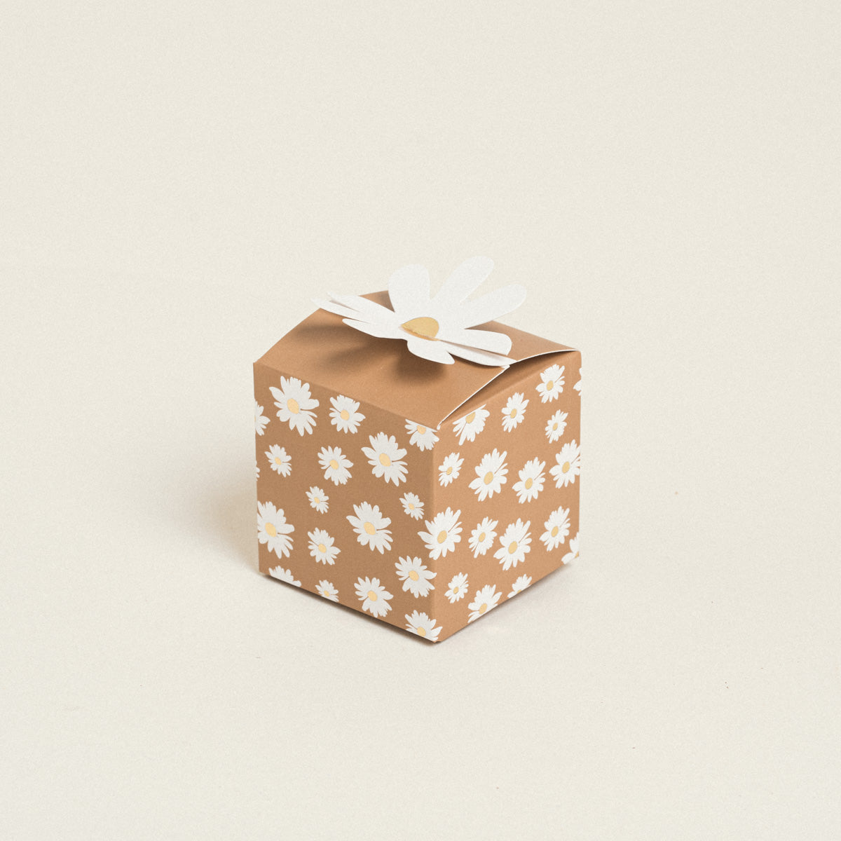 Κουτάκι Μαργαρίτες 5x5x5 10 Τμχ