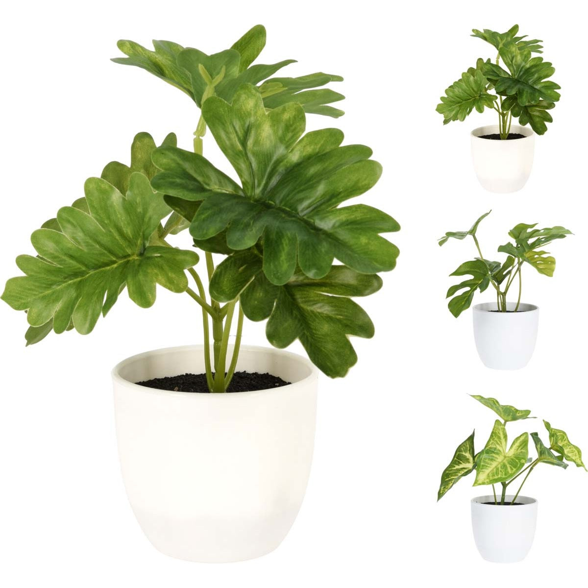 Γλαστράκι με Φυτό 15εκ 3 Σχδ