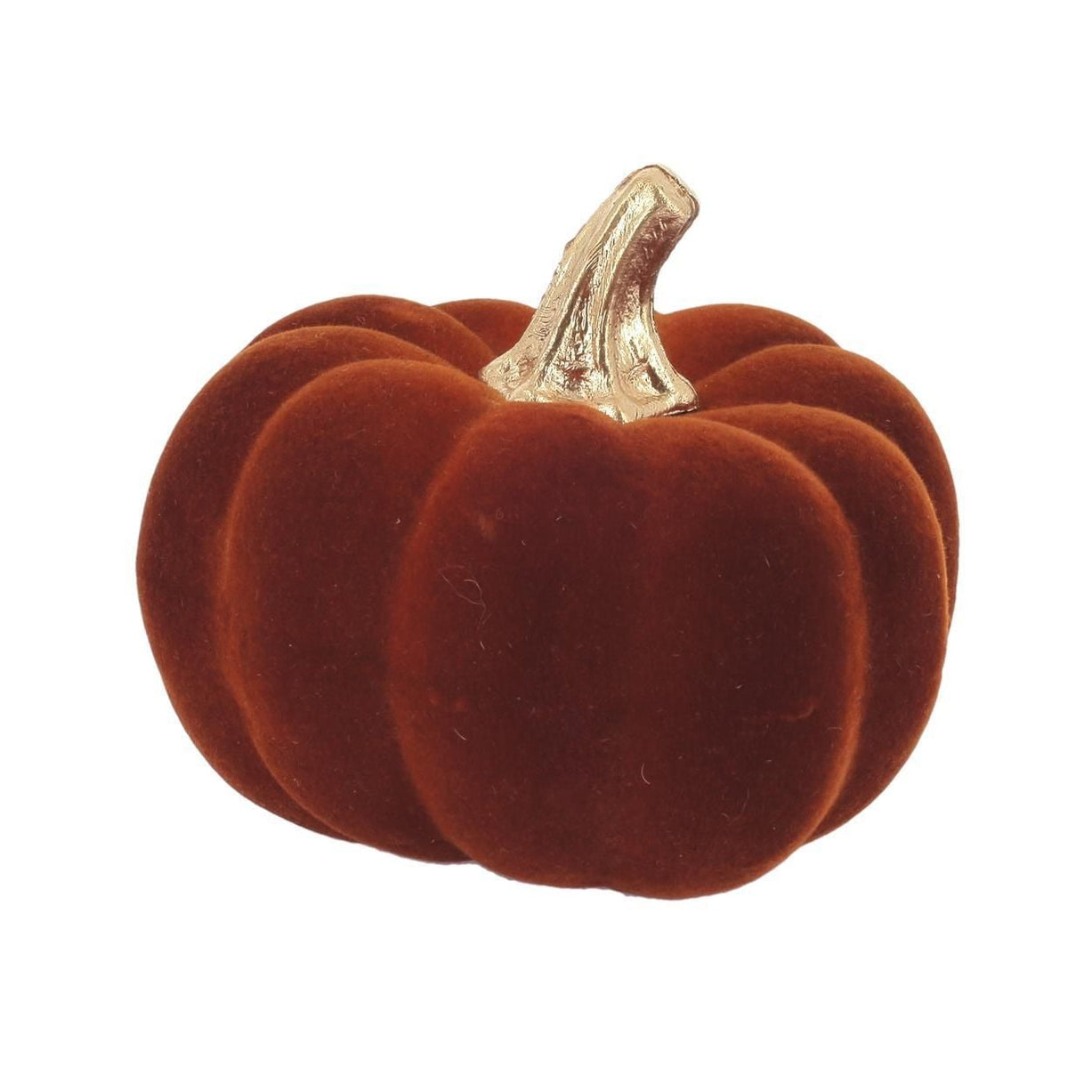 Κολοκύθα Βελούδινη Κεχριμπαρί με Χρυσό 9x9x7