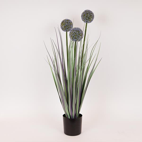 ΦΥΤΟ ΓΡΑΣΙΔΙ ΑΛΛΙΟ ΣΕ ΓΛΑΣΤΡΑ ΠΛΑΣΤΙΚΟ 80εκ