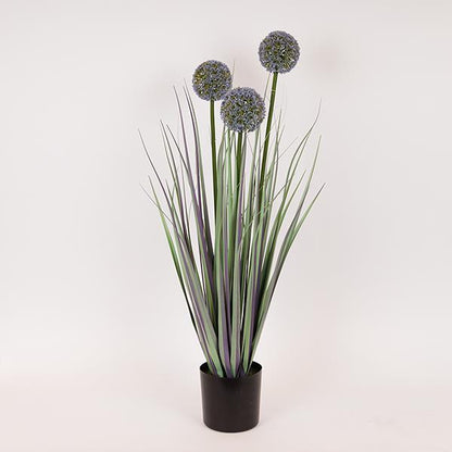 ΦΥΤΟ ΓΡΑΣΙΔΙ ΑΛΛΙΟ ΣΕ ΓΛΑΣΤΡΑ ΠΛΑΣΤΙΚΟ 80εκ