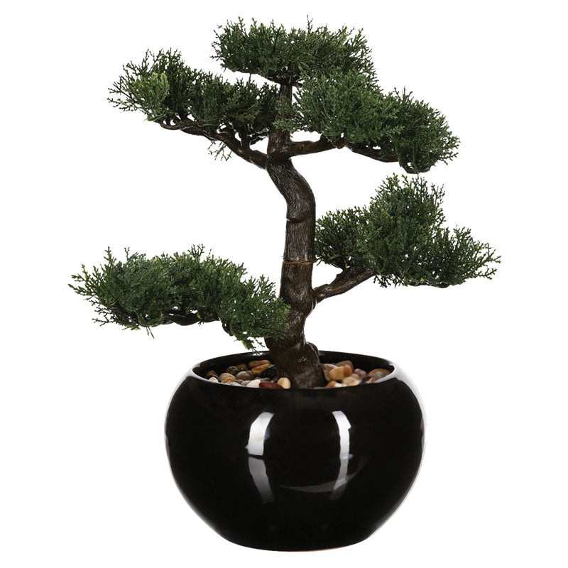 Φυτό σε Γλάστρα Green 35x32x34