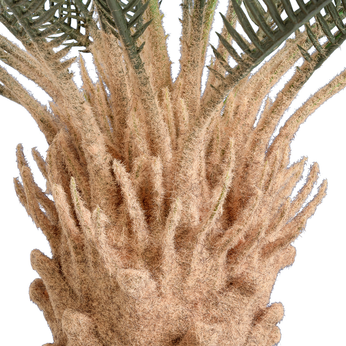 CYCADS 20022 Τεχνητό Διακοσμητικό Φυτό Αρωματική Κύκας Υ120cm