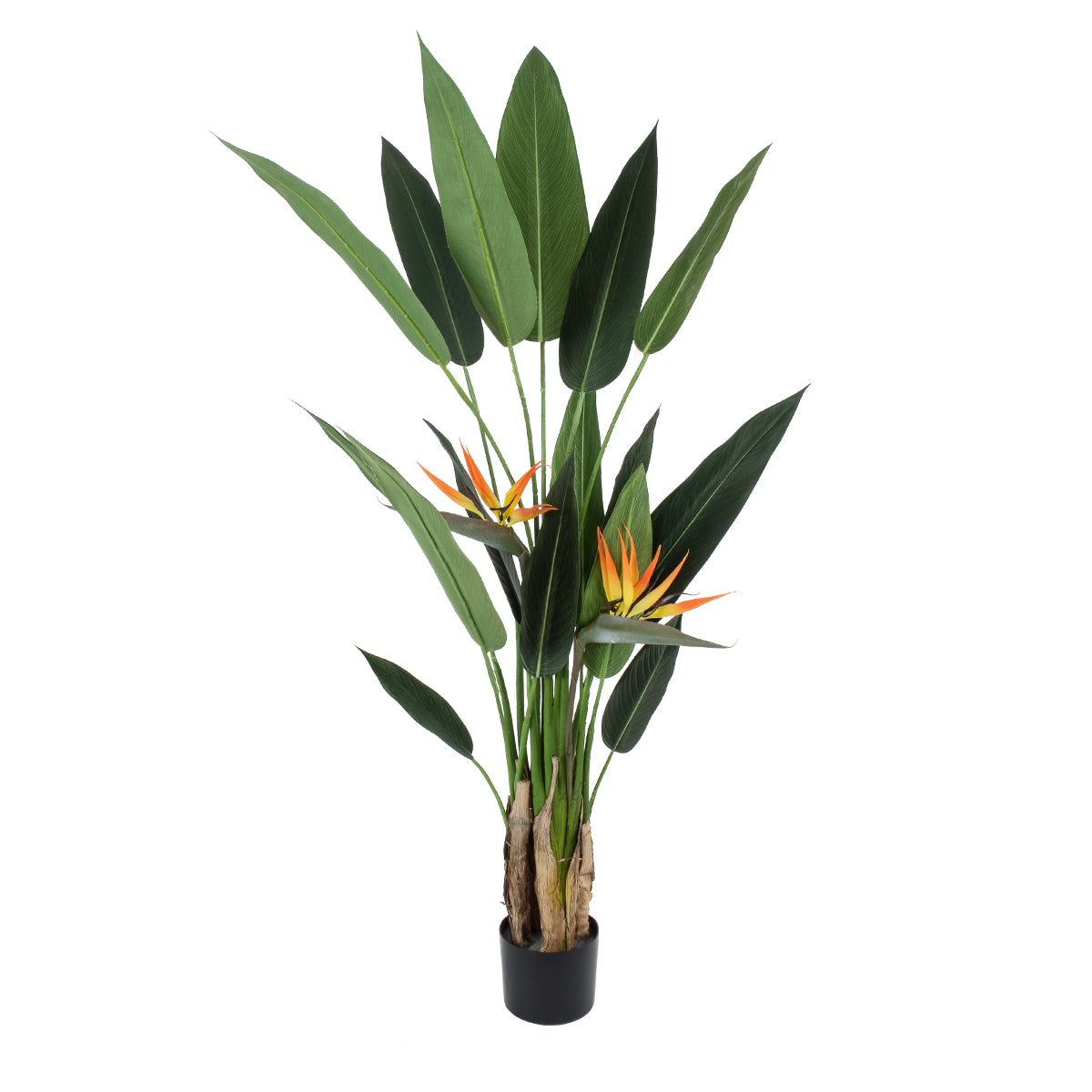 STRELITZIA REGINAE 20032 Τεχνητό Διακοσμητικό Φυτό Στρελίτσια - Πουλί του Παραδείσου Υ140cm