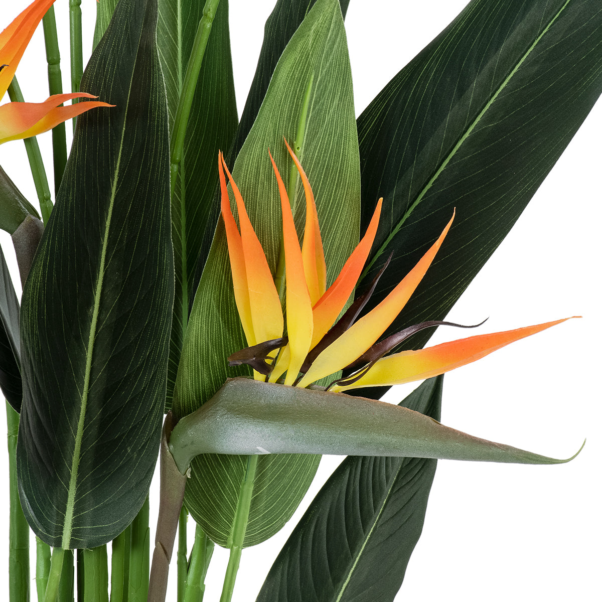 STRELITZIA REGINAE 20032 Τεχνητό Διακοσμητικό Φυτό Στρελίτσια - Πουλί του Παραδείσου Υ140cm