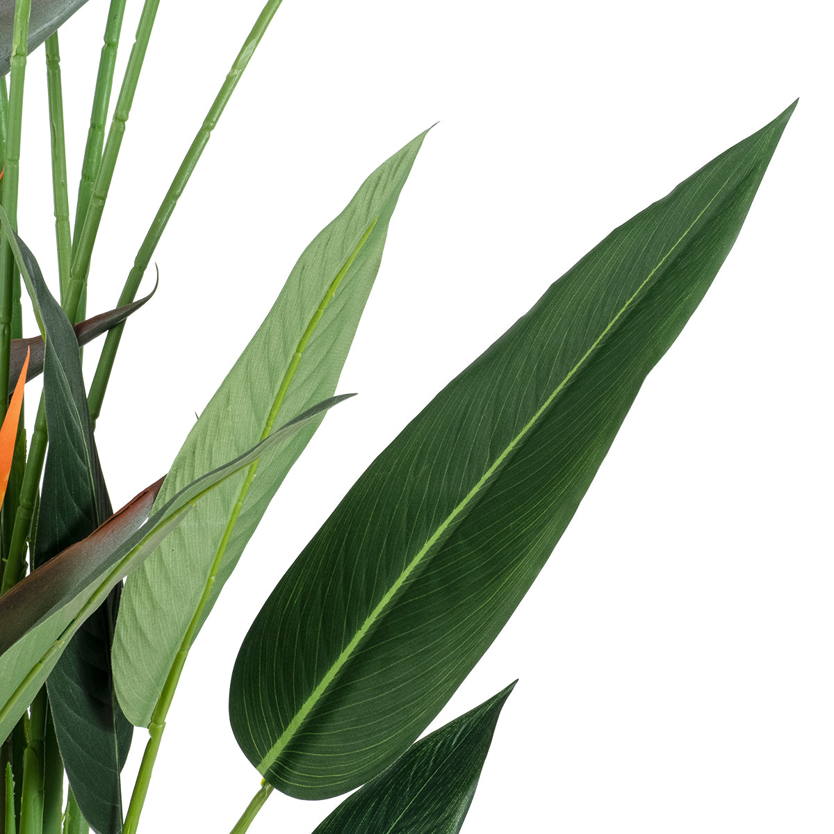 STRELITZIA REGINAE 20033 Τεχνητό Διακοσμητικό Φυτό Στρελίτσια - Πουλί του Παραδείσου Υ180cm