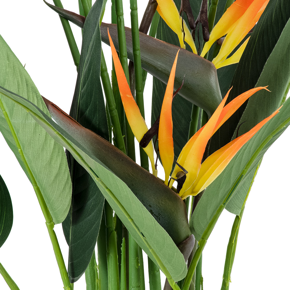 STRELITZIA REGINAE 20033 Τεχνητό Διακοσμητικό Φυτό Στρελίτσια - Πουλί του Παραδείσου Υ180cm