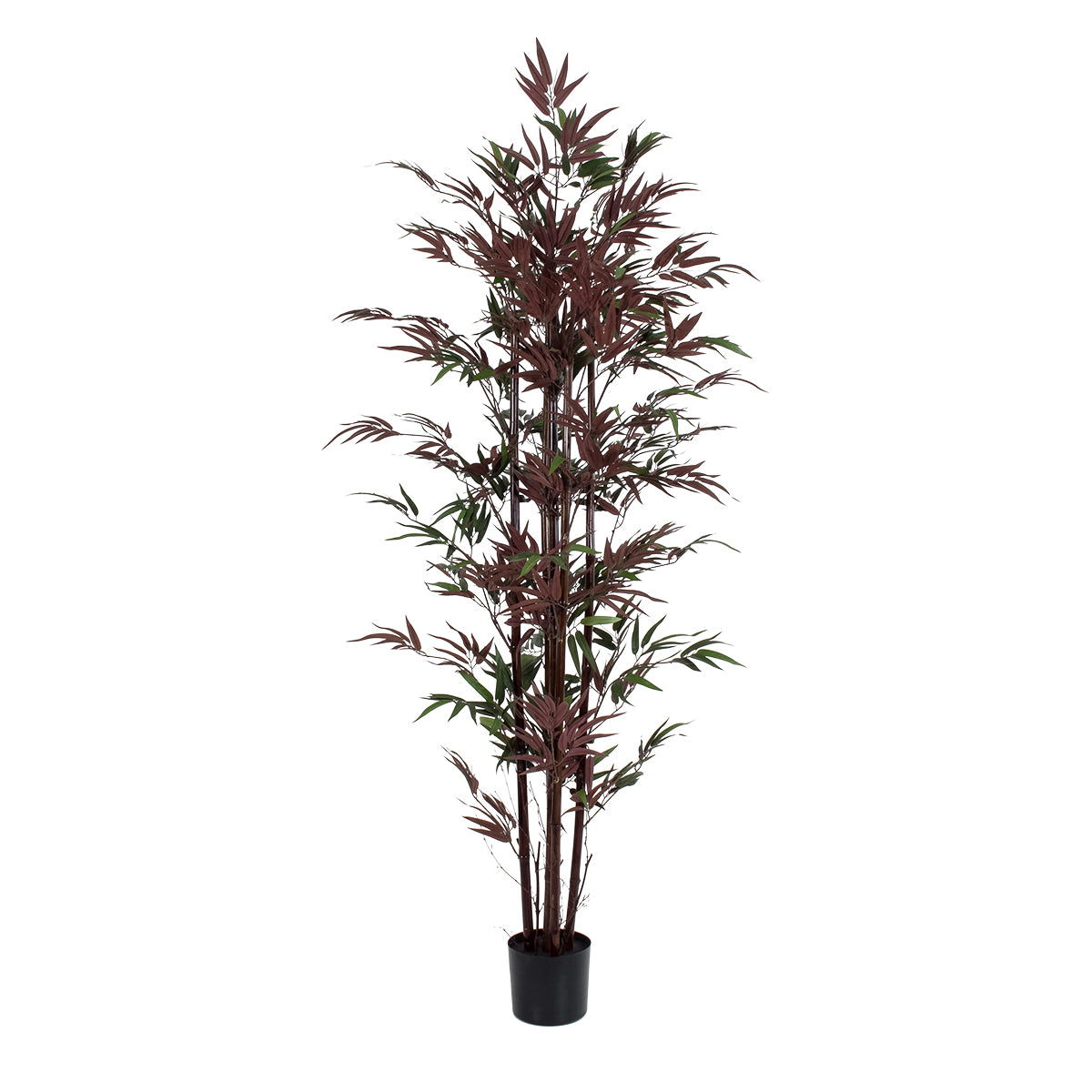 BLOODLEAF BAMBOO 20039 Τεχνητό Διακοσμητικό Φυτό Αιματόφυλλο Μπαμπού Υ170cm