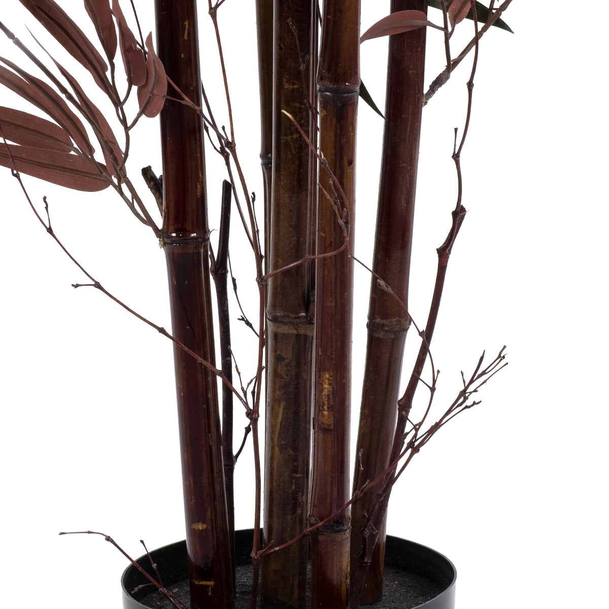 BLOODLEAF BAMBOO 20039 Τεχνητό Διακοσμητικό Φυτό Αιματόφυλλο Μπαμπού Υ170cm