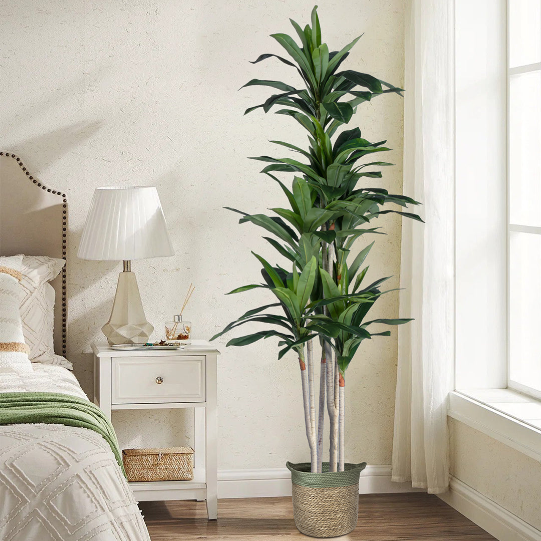 DRACAENA SILK 20044 Τεχνητό Διακοσμητικό Φυτό Δράκαινα Υ170cm