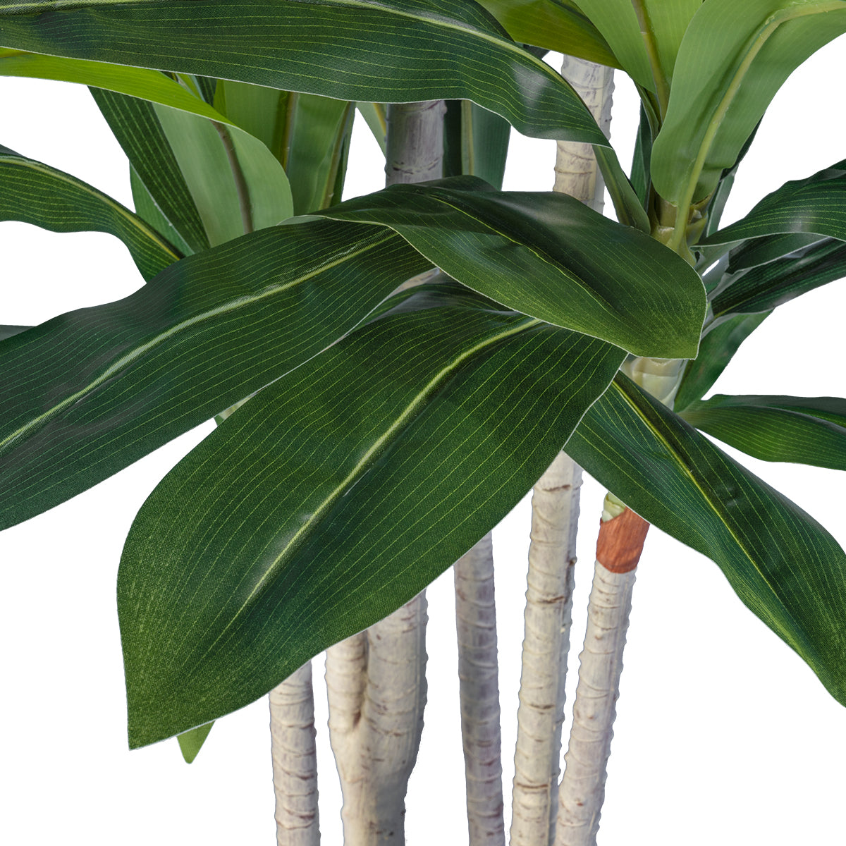 DRACAENA SILK 20044 Τεχνητό Διακοσμητικό Φυτό Δράκαινα Υ170cm