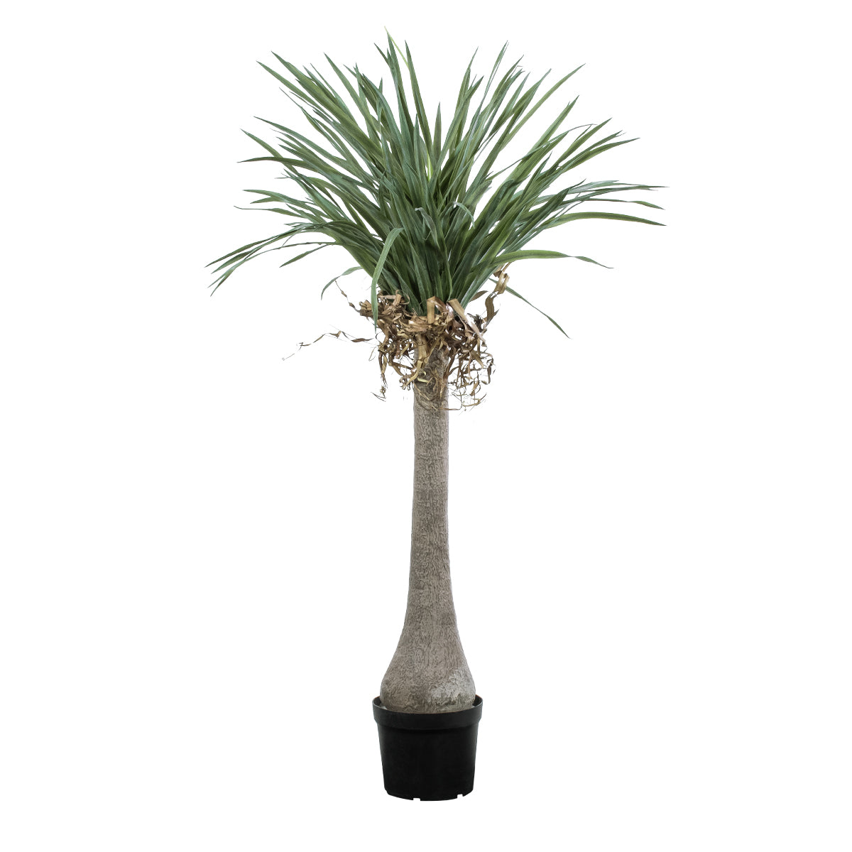 BEAUCARNEA PALM TREE 20046 Τεχνητό Διακοσμητικό Φυτό Κυρτόφυλλος Μπουκαρνέα Υ165cm