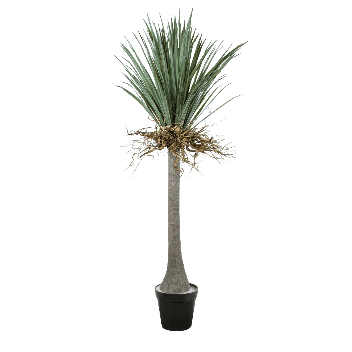 BEAUCARNEA PALM TREE 20047 Τεχνητό Διακοσμητικό Φυτό Κυρτόφυλλος Μπουκαρνέα Υ200cm