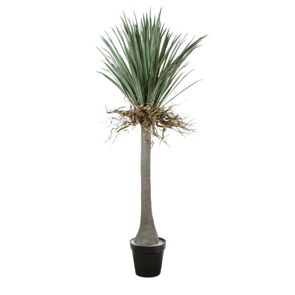 BEAUCARNEA PALM TREE 20047 Τεχνητό Διακοσμητικό Φυτό Κυρτόφυλλος Μπουκαρνέα Υ200cm