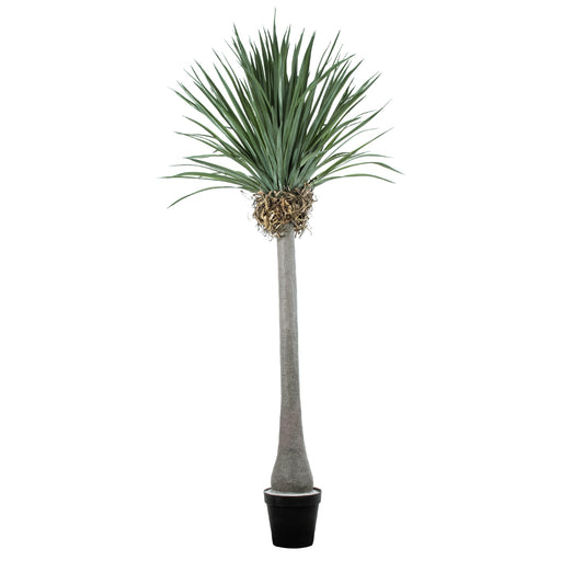 BEAUCARNEA PALM TREE 20048 Τεχνητό Διακοσμητικό Φυτό Κυρτόφυλλος Μπουκαρνέα Υ250cm