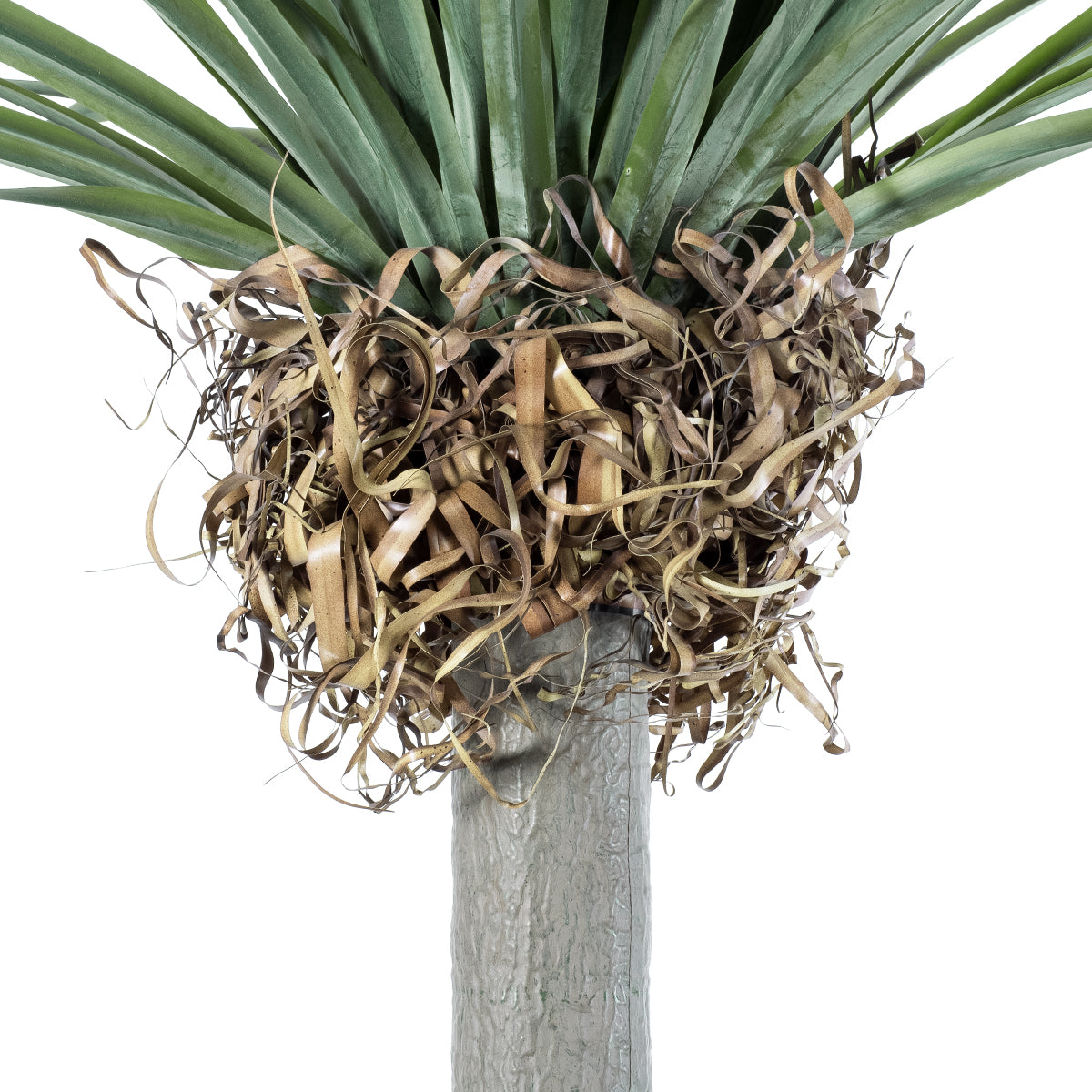 BEAUCARNEA PALM TREE 20048 Τεχνητό Διακοσμητικό Φυτό Κυρτόφυλλος Μπουκαρνέα Υ250cm