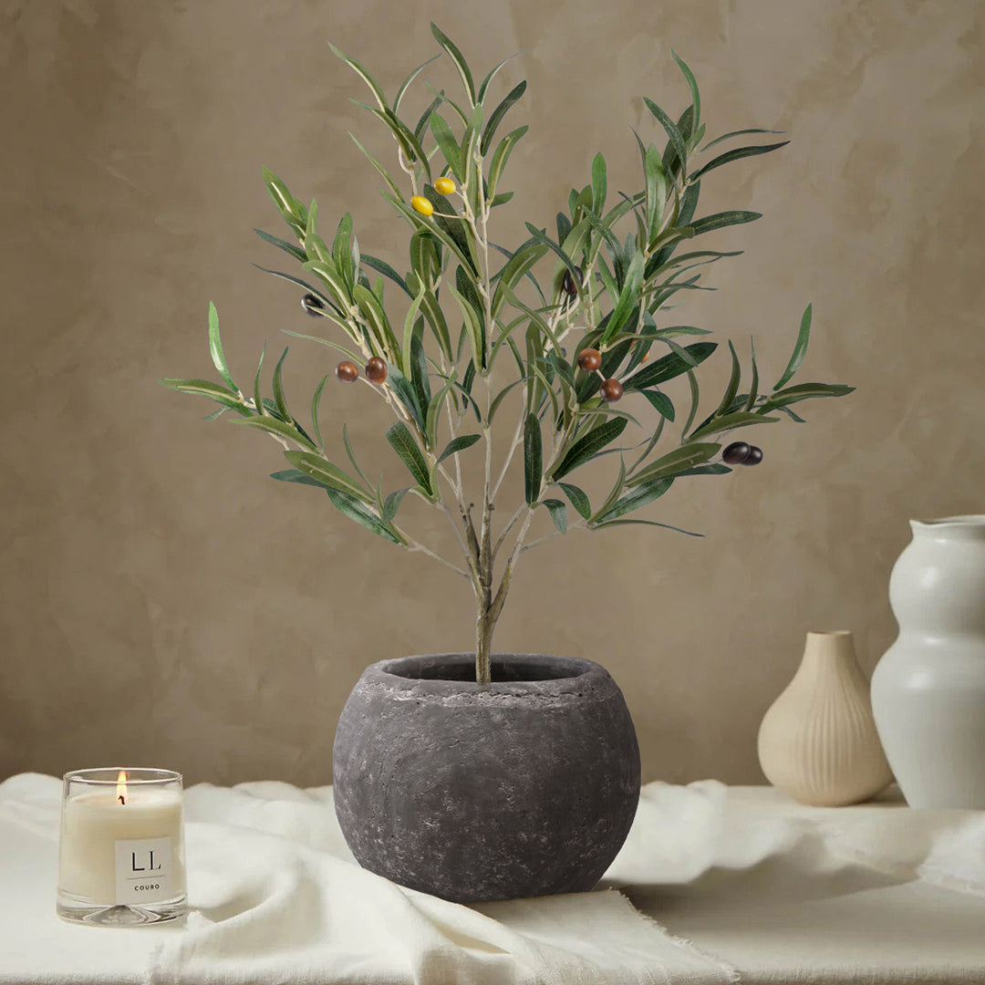 OLIVE TREE 20051 Τεχνητό Διακοσμητικό Φυτό Ελιά Υ55cm