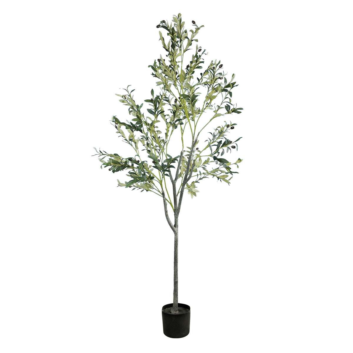 OLIVE TREE 20054 Τεχνητό Διακοσμητικό Φυτό Ελιά Υ180cm