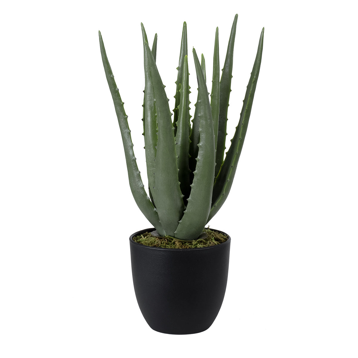 ALOE 20064 Τεχνητό Διακοσμητικό Φυτό Αλόη Υ38cm