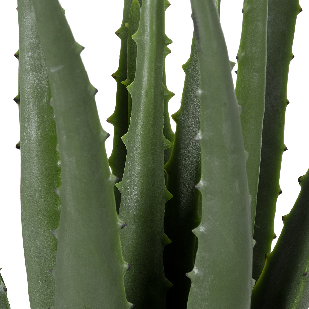 ALOE 20064 Τεχνητό Διακοσμητικό Φυτό Αλόη Υ38cm