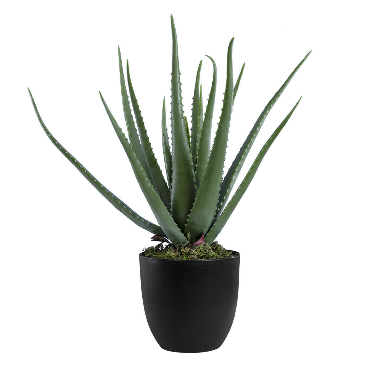 ALOE 20065 Τεχνητό Διακοσμητικό Φυτό Αλόη Υ50cm