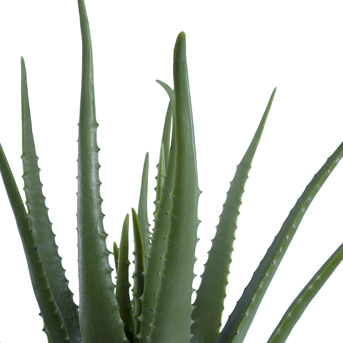 ALOE 20065 Τεχνητό Διακοσμητικό Φυτό Αλόη Υ50cm