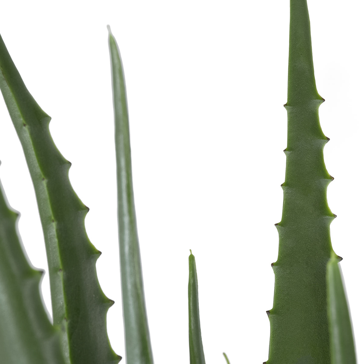 ALOE 20066 Τεχνητό Διακοσμητικό Φυτό Αλόη Υ65cm