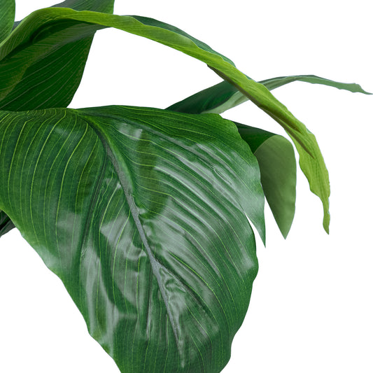 ROHDEA JAPONICA 20068 Τεχνητό Διακοσμητικό Φυτό Ιαπωνέζικη Ροδέα Υ80cm