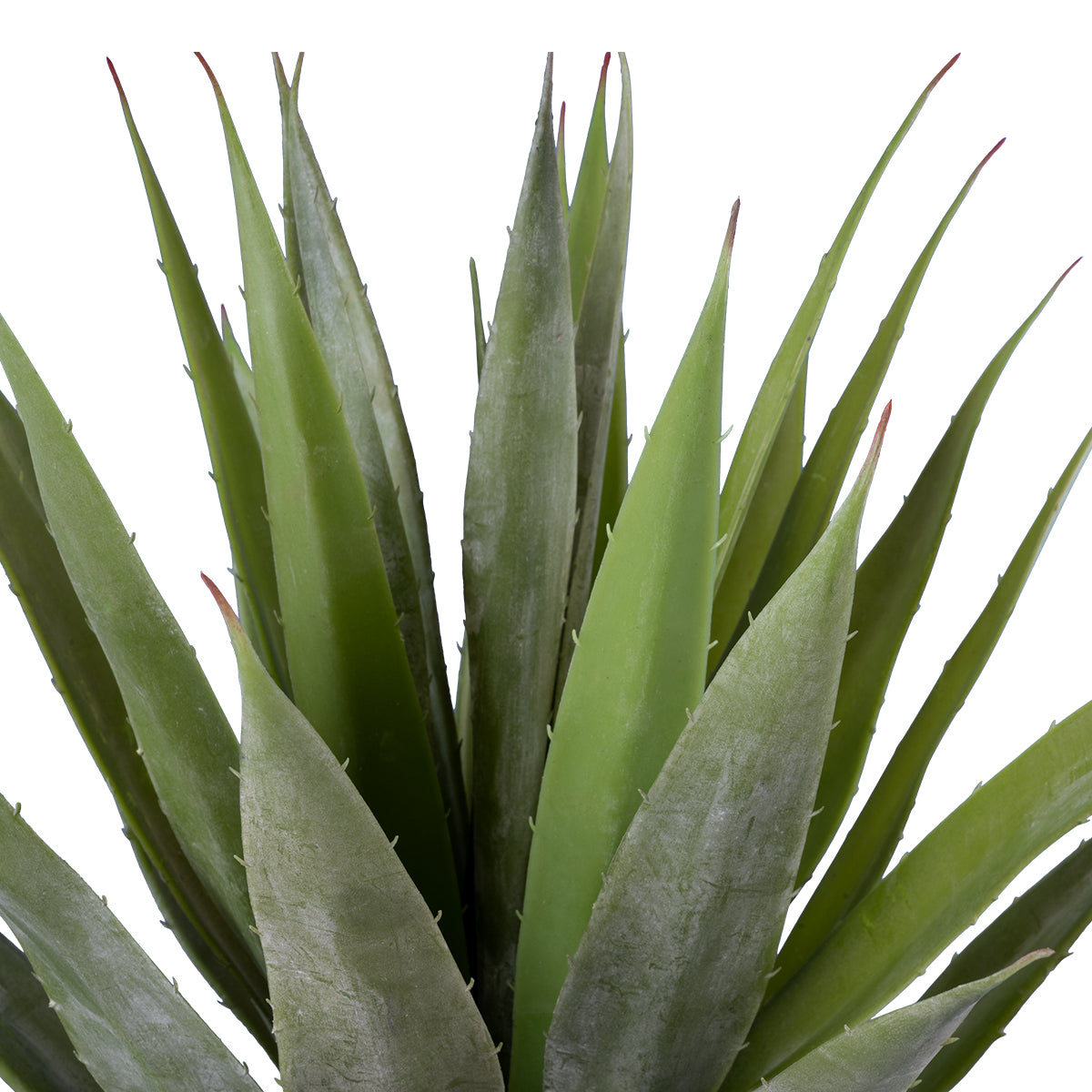 SISAL AGAVE 20079 Τεχνητό Διακοσμητικό Φυτό Αγαύη Υ60cm