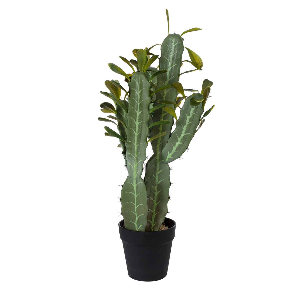 CEREUS JAMACARU CACTUS 20102 Τεχνητό Διακοσμητικό Φυτό Κάκτος Κηρίος Υ62cm