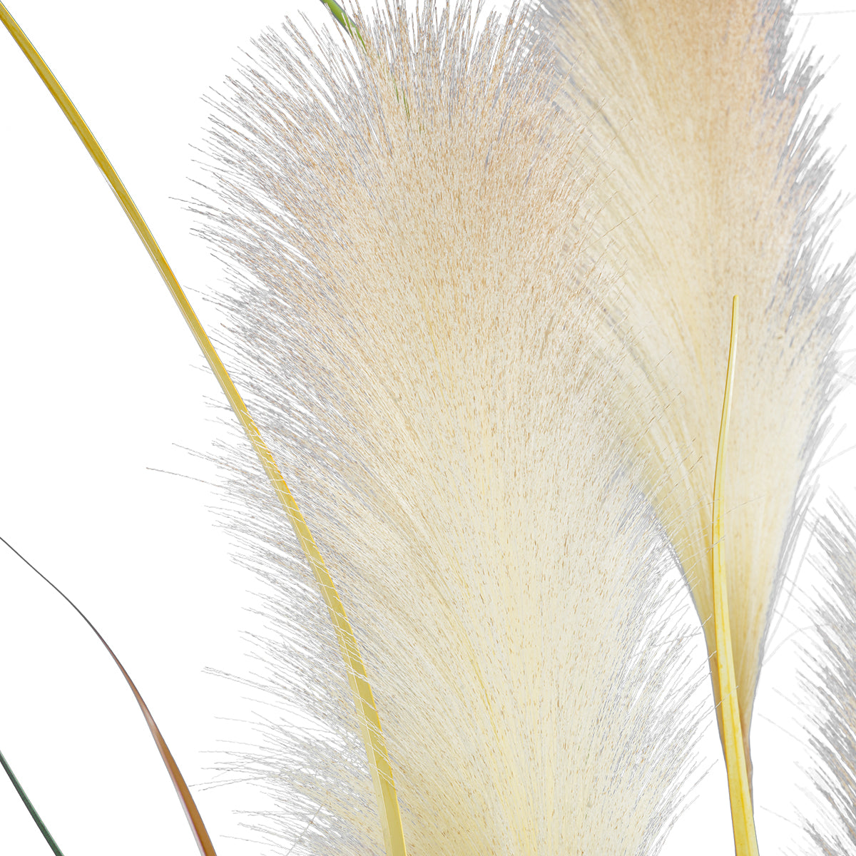 PAMPAS GRASS 20108 Τεχνητό Διακοσμητικό Φυτό Γρασίδι της Πάμπας Υ150cm