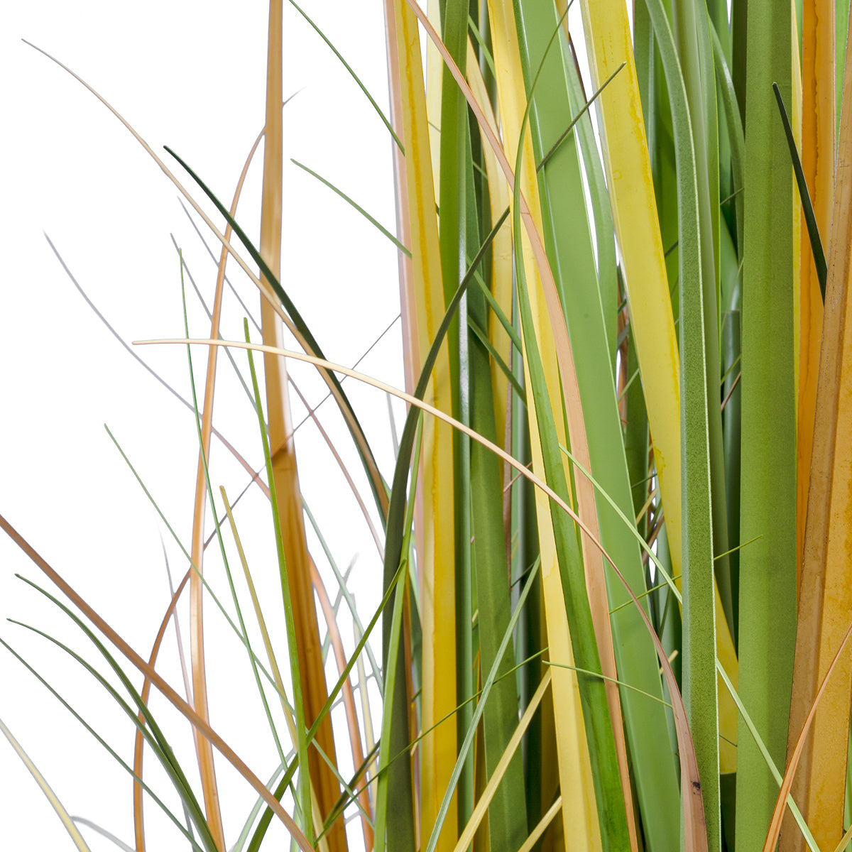 PAMPAS GRASS 20108 Τεχνητό Διακοσμητικό Φυτό Γρασίδι της Πάμπας Υ150cm