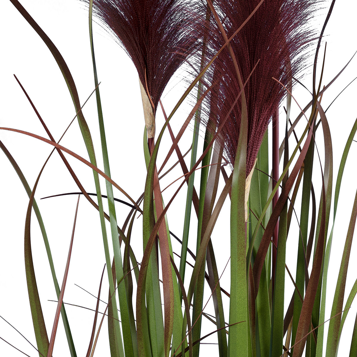 BLOODY PAMPAS GRASS 20109 Τεχνητό Διακοσμητικό Φυτό Αιματόφυλλο Γρασίδι της Πάμπας Υ85cm