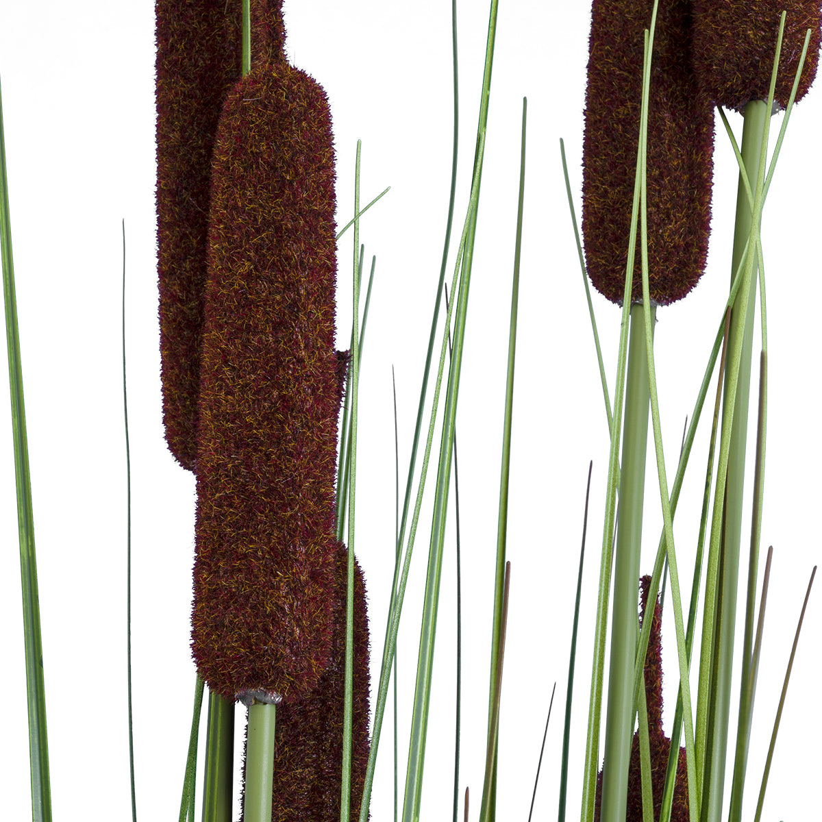 TYPHA ANGUSTIFOLIA GRASS 20113 Τεχνητό Διακοσμητικό Φυτό Γρασίδι της Τύφας Υ150cm