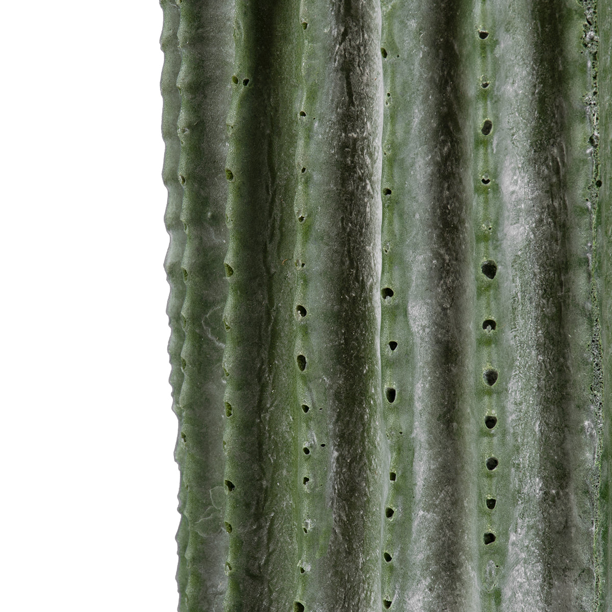 CARNEGIEA CACTUS 20124 Τεχνητό Διακοσμητικό Φυτό Κάκτος Σαγκουάρο Υ70cm