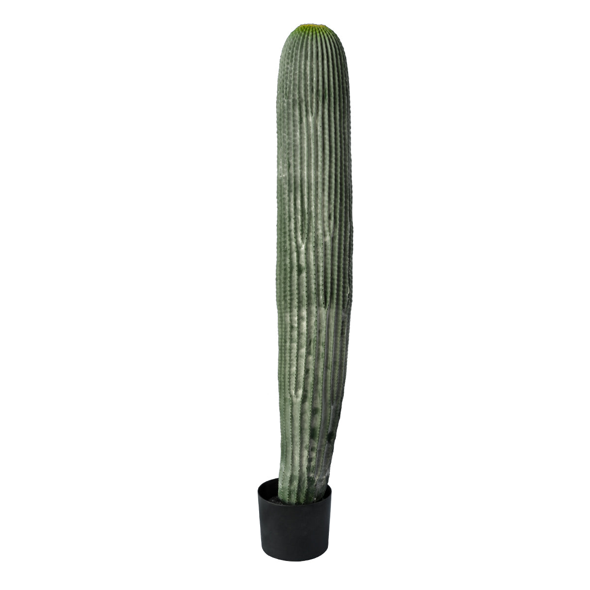 CARNEGIEA CACTUS 20126 Τεχνητό Διακοσμητικό Φυτό Κάκτος Σαγκουάρο Υ100cm