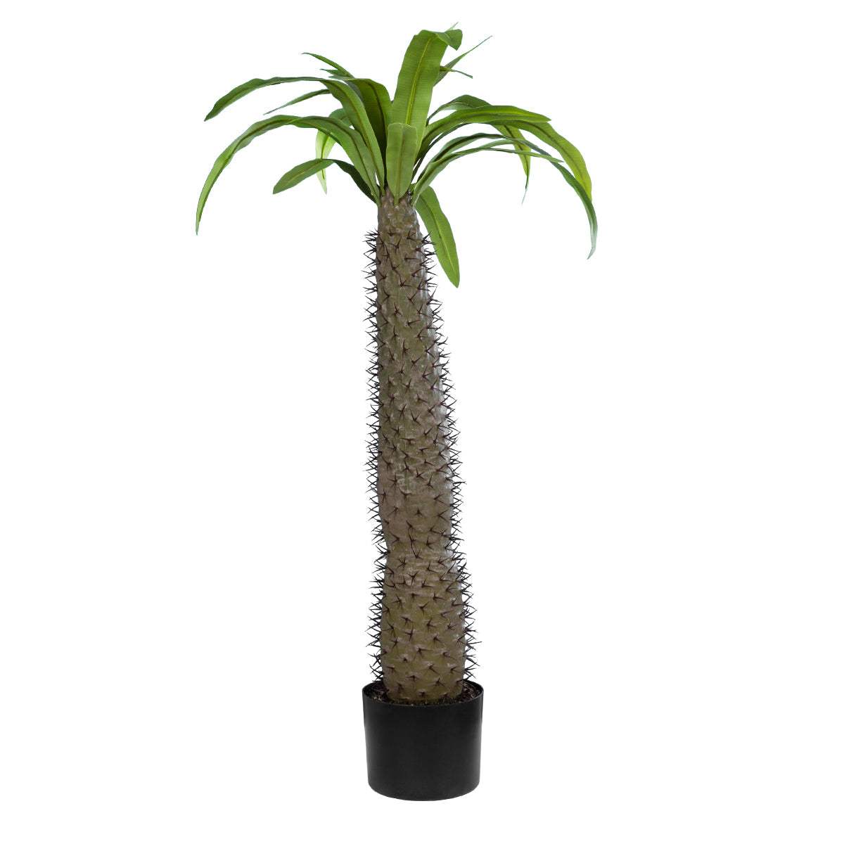 PACHYPODIUM LAMEREI PALM TREE 20129 Τεχνητό Διακοσμητικό Φυτό Φοίνικας της Μαγαδασκάρης Υ105cm