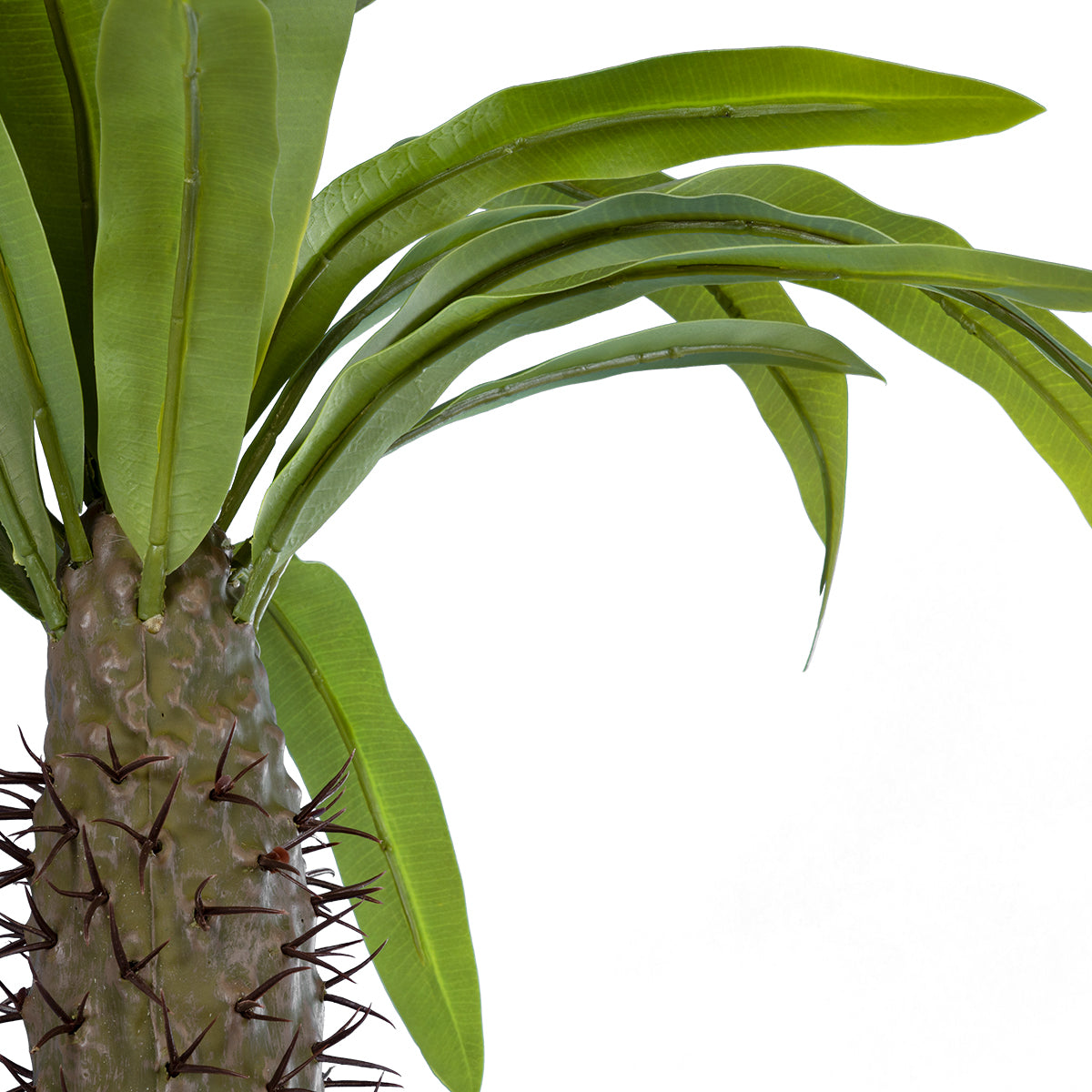 PACHYPODIUM LAMEREI PALM TREE 20129 Τεχνητό Διακοσμητικό Φυτό Φοίνικας της Μαγαδασκάρης Υ105cm